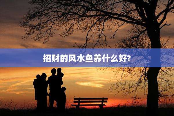 招财的风水鱼养什么好?