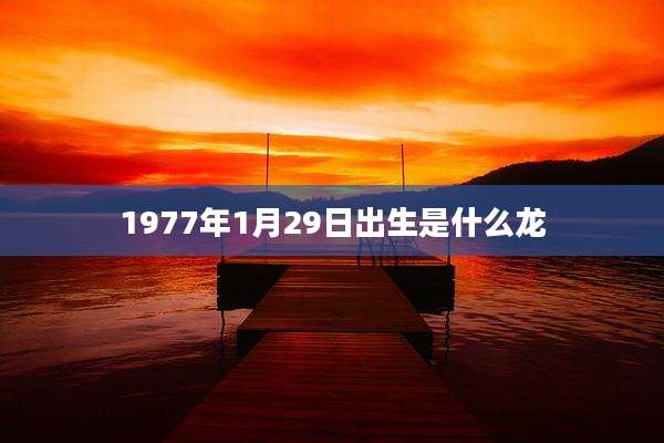 1977年1月29日出生是什么龙