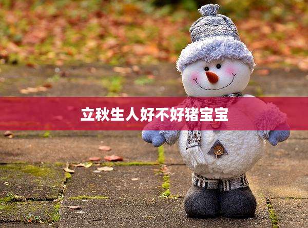 立秋生人好不好猪宝宝