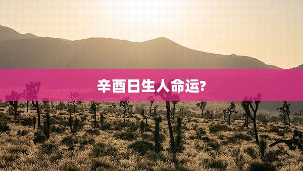 辛酉日生人命运?