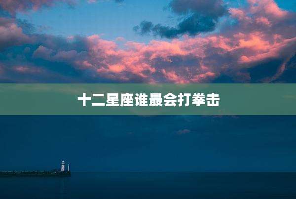 十二星座谁最会打拳击