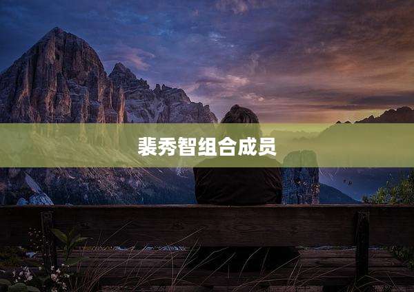 裴秀智组合成员