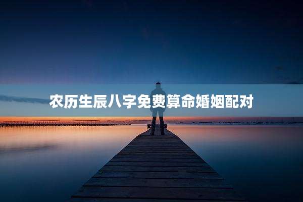 农历生辰八字免费算命婚姻配对