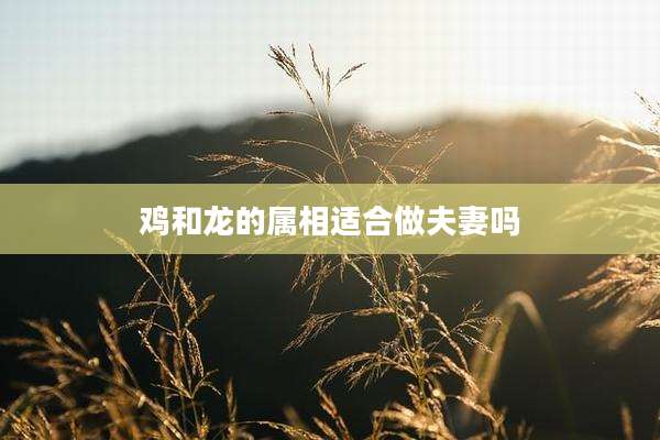 鸡和龙的属相适合做夫妻吗