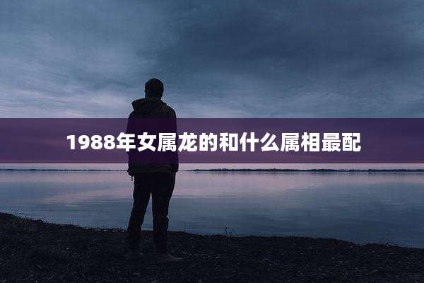 1988年女属龙的和什么属相最配