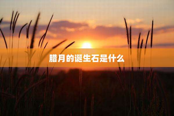 腊月的诞生石是什么