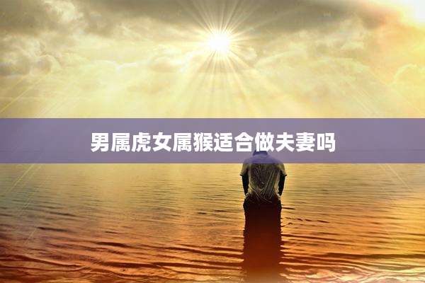 男属虎女属猴适合做夫妻吗