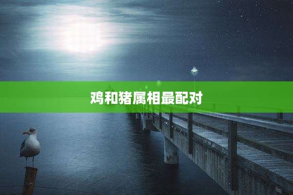 鸡和猪属相最配对