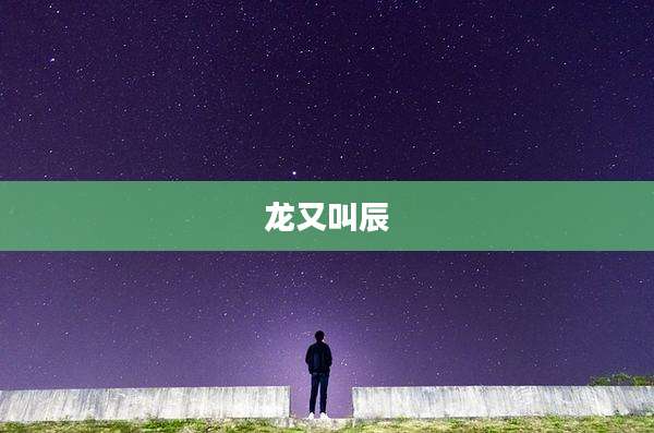龙又叫辰