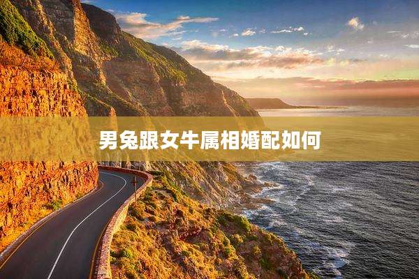 男兔跟女牛属相婚配如何