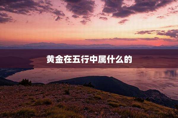 黄金在五行中属什么的