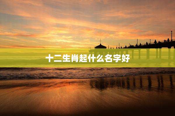 十二生肖起什么名字好