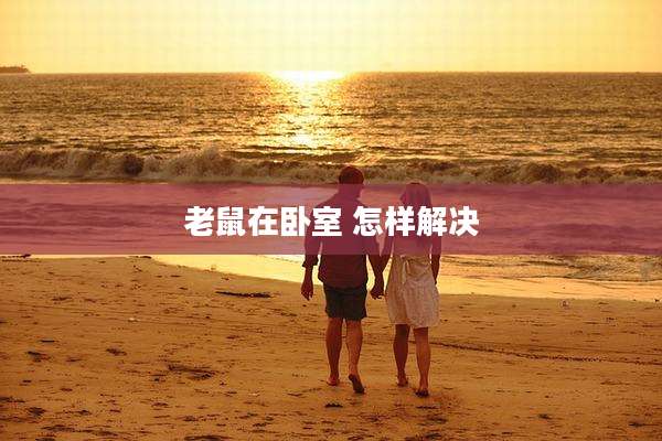 老鼠在卧室 怎样解决