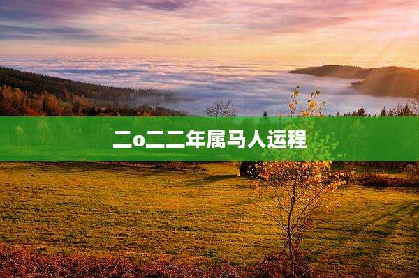 二o二二年属马人运程
