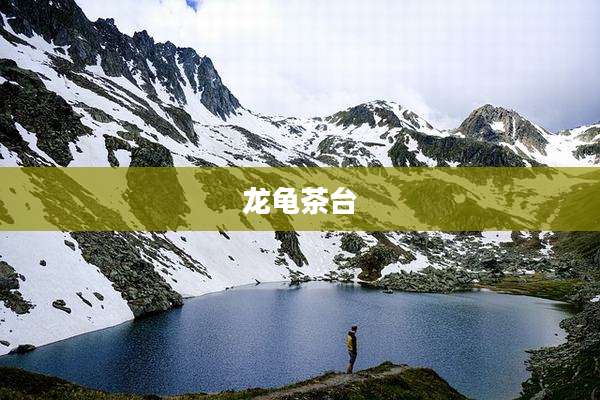 龙龟茶台