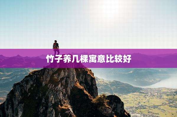 竹子养几棵寓意比较好