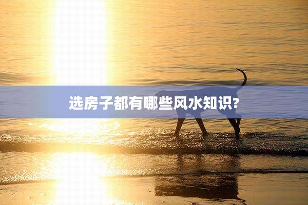 选房子都有哪些风水知识?