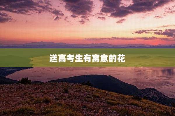 送高考生有寓意的花