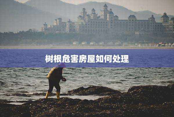 树根危害房屋如何处理