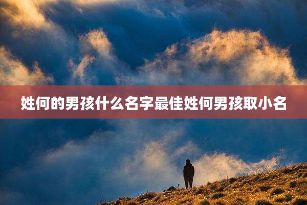姓何的男孩什么名字最佳姓何男孩取小名