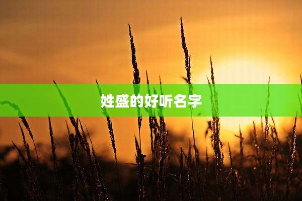 姓盛的好听名字