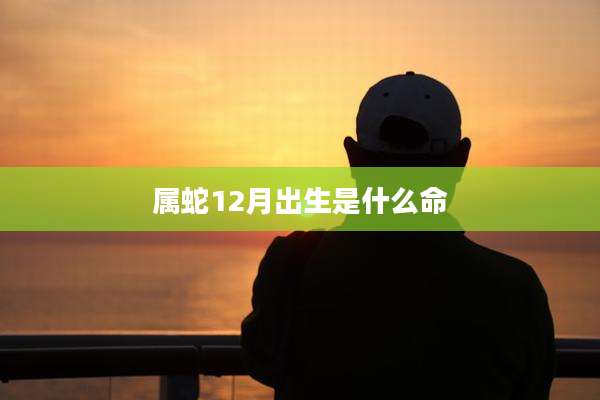 属蛇12月出生是什么命
