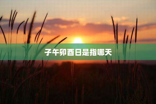 子午卯酉日是指哪天