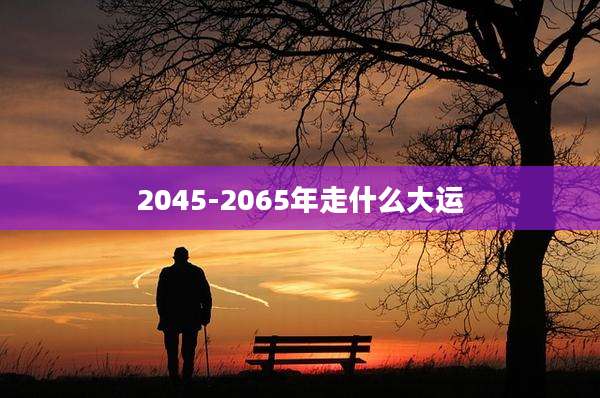 2045-2065年走什么大运