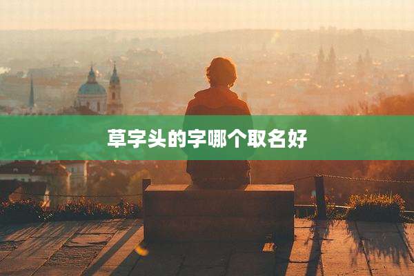 草字头的字哪个取名好