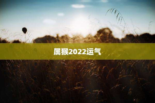 属猴2022运气