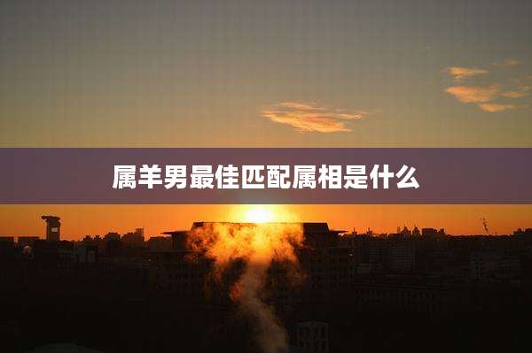 属羊男最佳匹配属相是什么