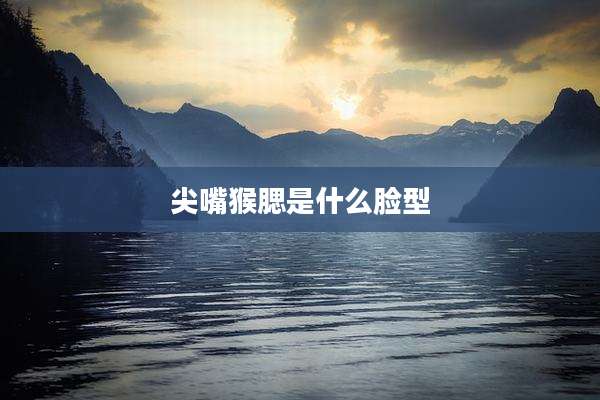 尖嘴猴腮是什么脸型