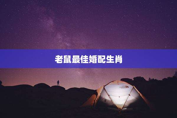 老鼠最佳婚配生肖