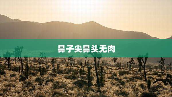 鼻子尖鼻头无肉