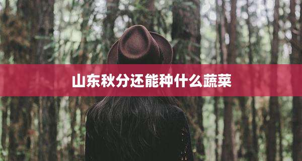 山东秋分还能种什么蔬菜