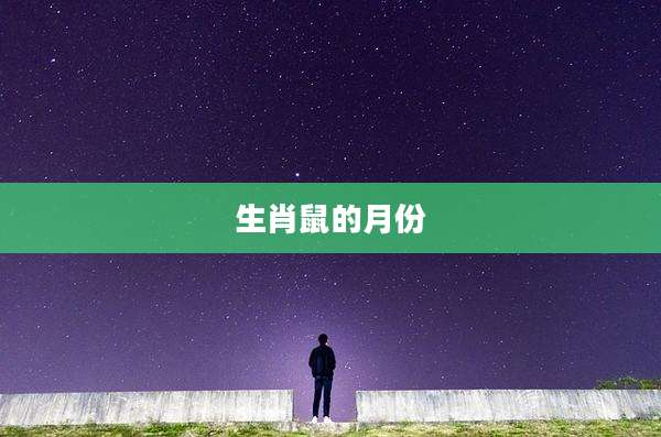 生肖鼠的月份