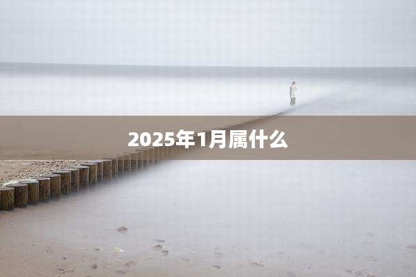 2025年1月属什么