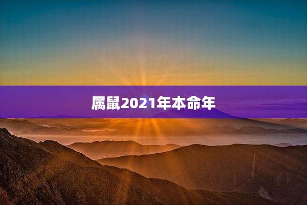 属鼠2021年本命年