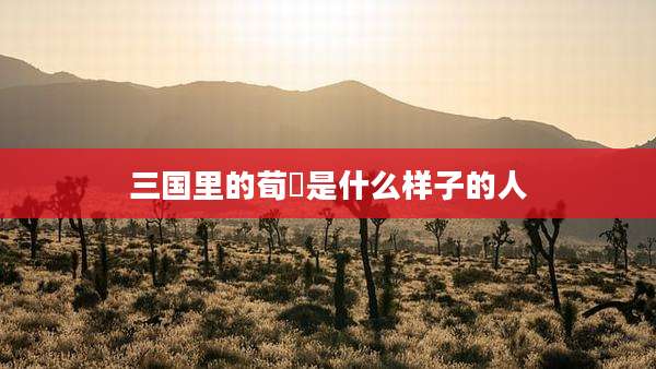 三国里的荀彧是什么样子的人