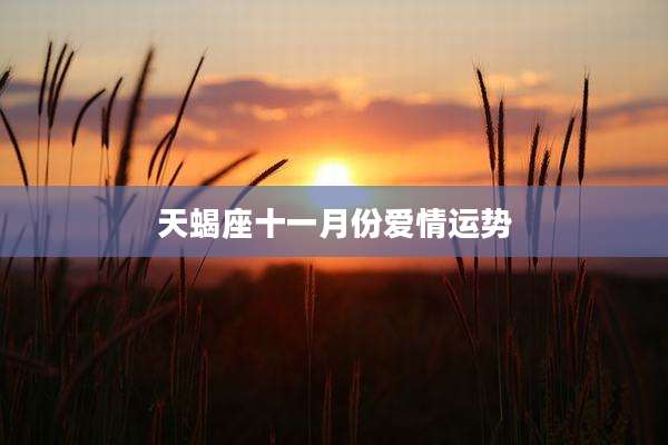 天蝎座十一月份爱情运势