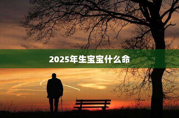 2025年生宝宝什么命