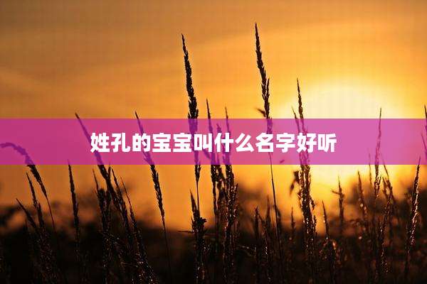 姓孔的宝宝叫什么名字好听
