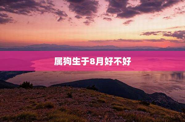 属狗生于8月好不好