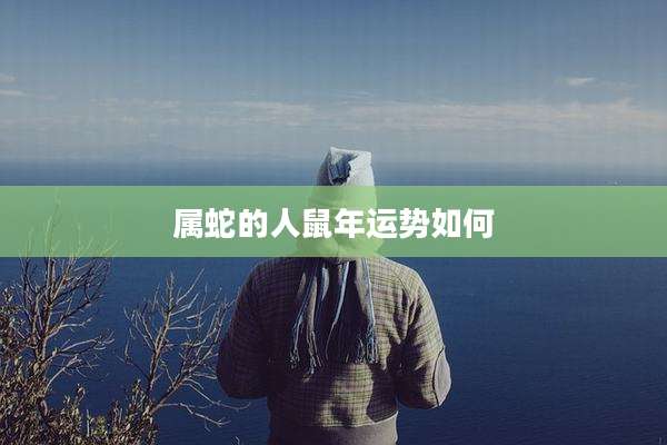 属蛇的人鼠年运势如何