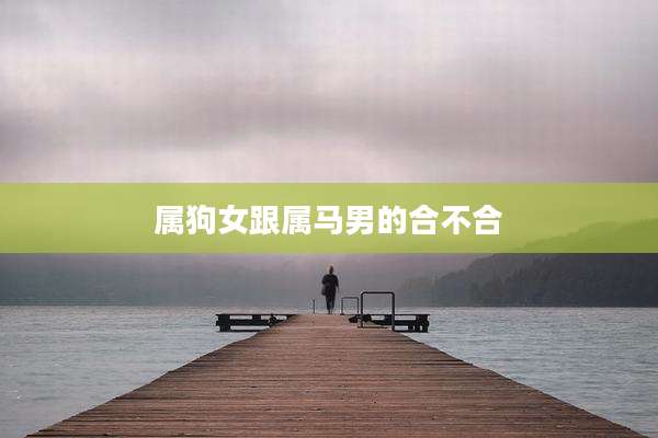 属狗女跟属马男的合不合