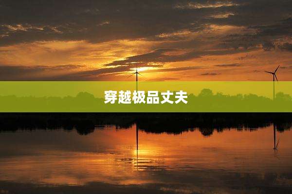 穿越极品丈夫