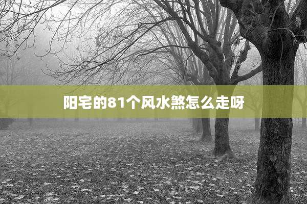 阳宅的81个风水煞怎么走呀