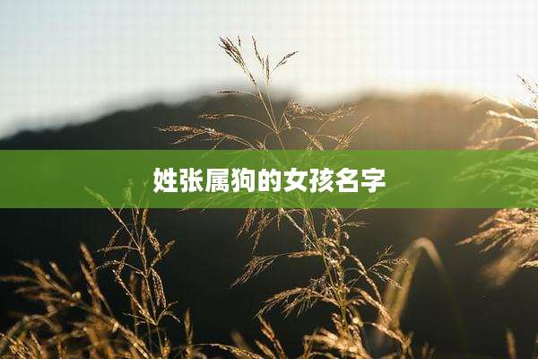 姓张属狗的女孩名字