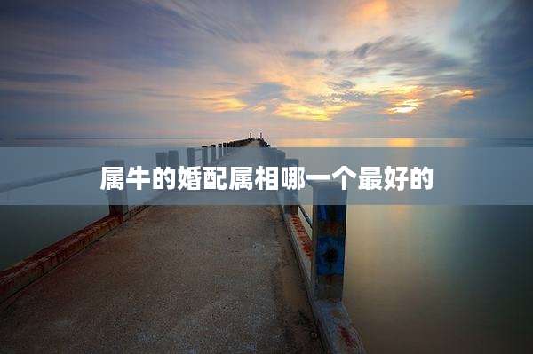 属牛的婚配属相哪一个最好的