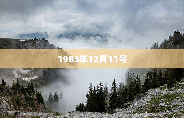 1983年12月11号